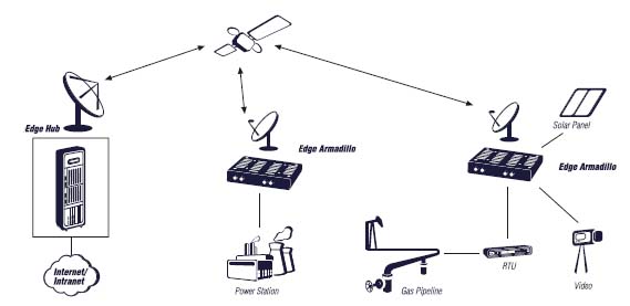 TMP-EDGE-armadillo_02